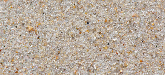 Closeup of beach sand from Myrtle Beach, South Carolina