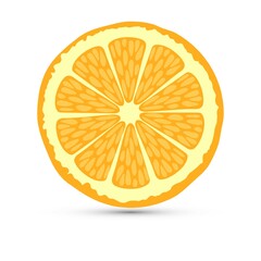 Fototapeta na wymiar Orange slice vector on white background
