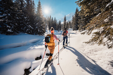 Mountaineer backcountry ski walking ski alpinist in the mountains. Ski touring in alpine landscape with snowy trees. Adventure winter sport.