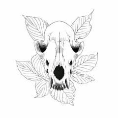 fox skull surrounded by leaves, leaf-shaped ears, black and white tattoo sketch 2d illustration