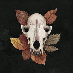 fox skull surrounded by autumn leaves on black background, leaf-shaped ears, 2d illustration