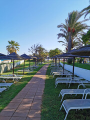 A path made of red stone tiles on the sides of which, on the grass, there are parasols from the sun made of natural materials and sun loungers.