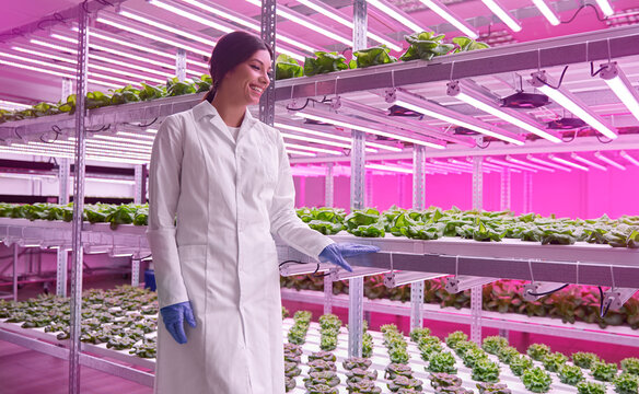 Delighted woman in laboratory with green lettuce - Powered by Adobe