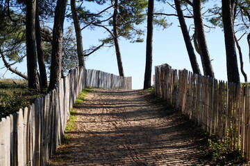 pathway wooden fence access paradise summer beach on sunny day
