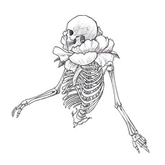 antique human skeleton, flower bud as collar