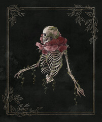 antique human skeleton on black background, pink flower bud as collar