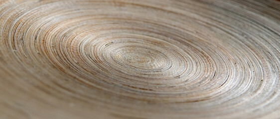 The concentric abstract background with wood texture