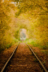 Autumn forest and lonely railway. the concept of tranquility, reflection, romance, poetry, peace, love. Perspective and symmetry. Postcard. Autumn and Future. Long way off. Green-yellow foliage. 