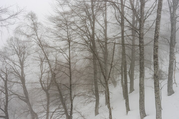 Covered with snow Caucasus mountain