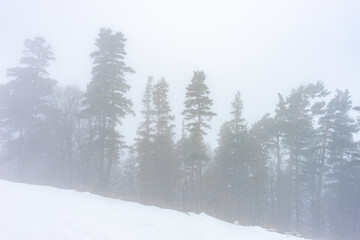 Naklejka premium Covered with snow Caucasus mountain