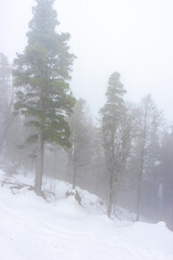 Covered with snow Caucasus mountain