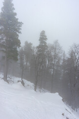 Covered with snow Caucasus mountain