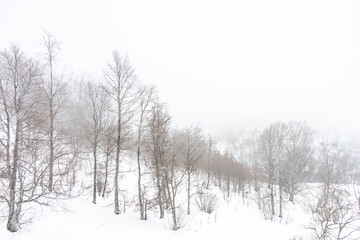 Covered with snow Caucasus mountain