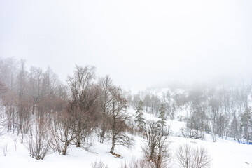 Covered with snow Caucasus mountain
