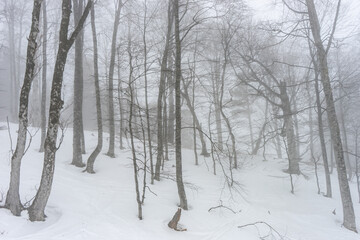 Covered with snow Caucasus mountain