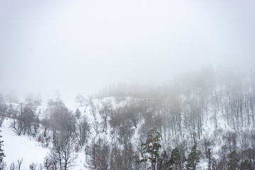 Obraz na płótnie Canvas Covered with snow Caucasus mountain