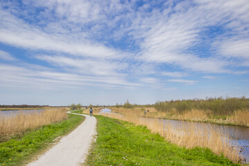 Fototapeta na wymiar Bicycle path at the water in the nature reserve of Alde Feanen in Friesland, Netherlands