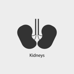 Kidneys vector icon solid grey
