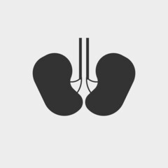 Kidneys vector icon solid grey