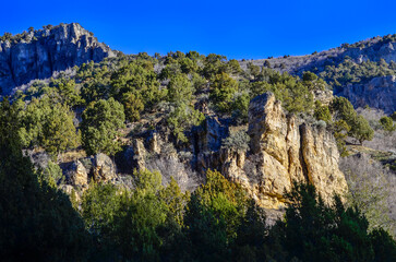 Sedimentary rock outcrop near Logan River, Utah - obrazy, fototapety, plakaty