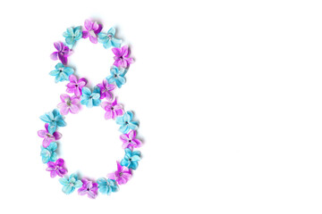 Flowers in the shape of the number 8 on white background. Flat lay, top view, copy space. International Women's Day