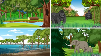 Four scenes with wild animals in forest © blueringmedia
