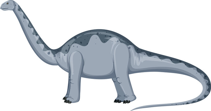 Aptosaurus dinosaur on white background