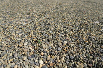 寺境内の駐車場の小石