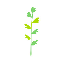 Green plant leaf. Vector illustration. 