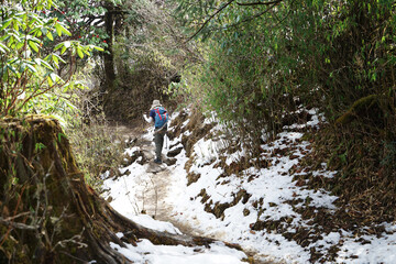 Tourist trekking along natural landscape of snowcapped mountain range- Nepal