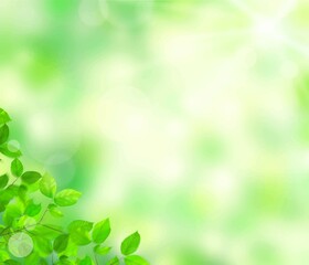 Fototapeta na wymiar 初夏の美しい木漏れ日の差し込む新緑とぼやけた緑のバックグラウンドのイラスト素材