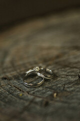 They symbolize our lifelong commitment to each other. Wedding rings.