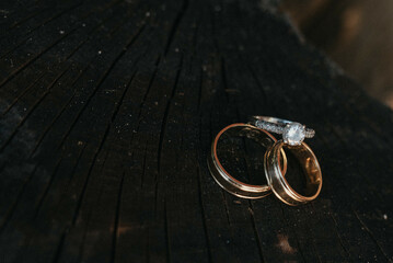 They symbolize our lifelong commitment to each other. Wedding rings.