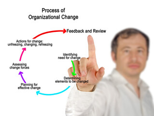 Components of Process of Organizational Change