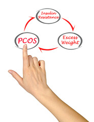 Presenting Cycle leding to PCOS