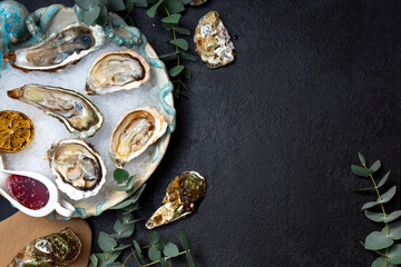 open oysters in a plate with ice on a dark background. Sea delicacy.