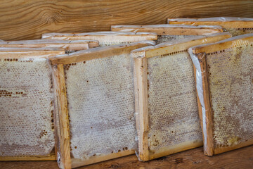 Closeup natural honey in comb.Texture background and pattern section of wax honeycomb from bee hive