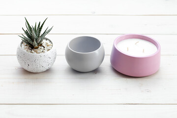 Succulents in concrete pots. Indoor cacti, indoor plants. Fashion trends in design.