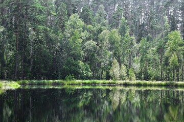 Obraz premium Landscape photo of forest and trees reflected in lake outdoors