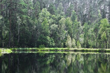 Landscape photo of forest and trees reflected in lake outdoors
