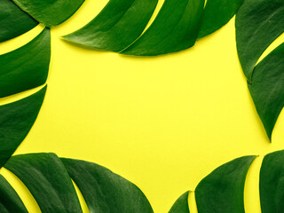 Fototapeta na wymiar Frame of big tropical green palm leaves Monstera on bright yellow background. Flat lay, top view from above, copy space. Botanical nature minimal concept