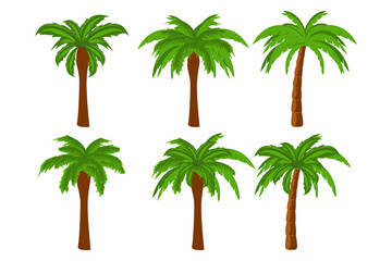 cute palm tree shape illustration © Curut Design Store