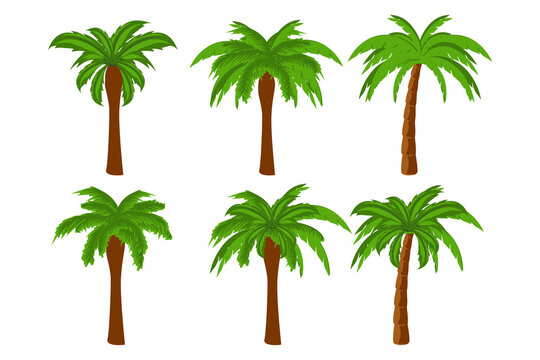 cute palm tree shape illustration