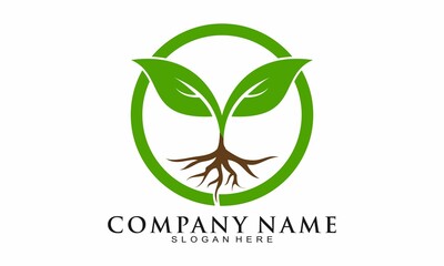 Nature leaf with root logo design