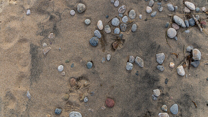 Fototapeta na wymiar Rocks on the beach