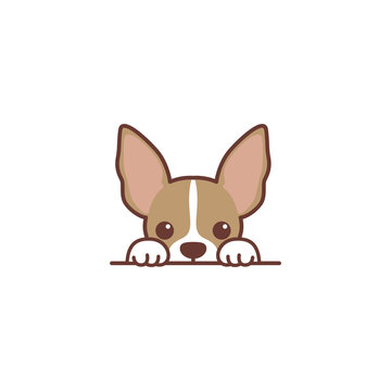Cute chihuahua puppy peeking cartoon, vector illustration