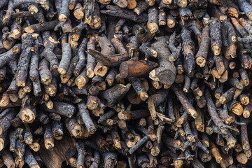 close-up sawn tree into small pieces. Background from sawn pieces of wood. Cuts of trees collected into a texture.