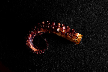 phalanx of grilled octopus on a dark background