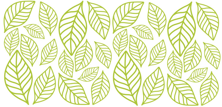 green leaves on white background