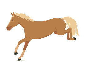vector illustration of a running and jumping horse in beige color isolated on a white background